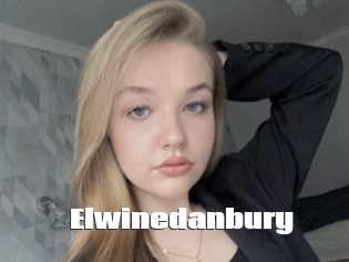 Elwinedanbury