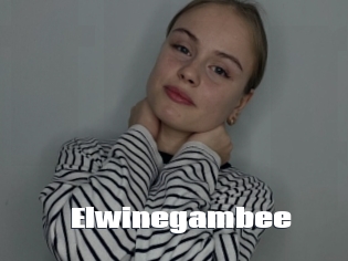 Elwinegambee