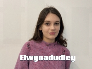 Elwynadudley