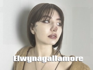 Elwynagallamore