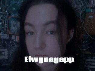 Elwynagapp