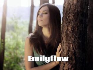 Emilyflow