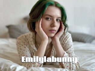Emilylabunny