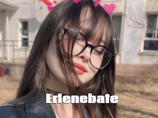 Erlenebate