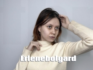 Erlenebolyard