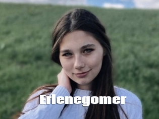 Erlenegomer