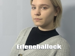 Erlenehallock