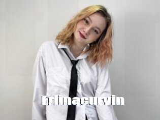 Erlinacurvin