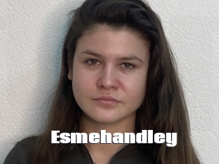 Esmehandley
