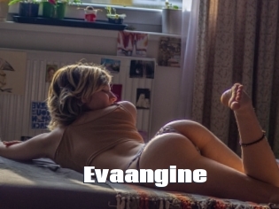 Evaangine