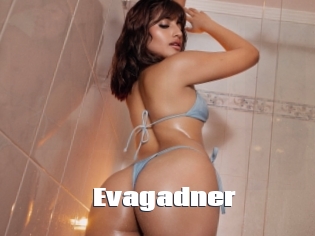 Evagadner