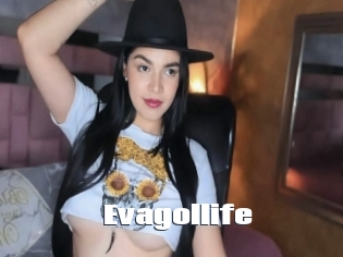 Evagollife