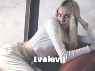 Evalevy