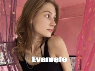 Evamate