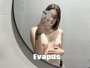 Evapus