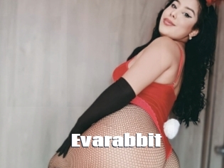 Evarabbit