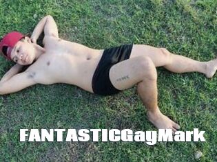 FANTASTICGayMark