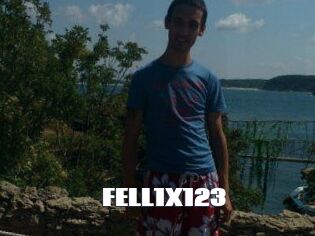 FELL1X123