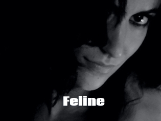 Feline