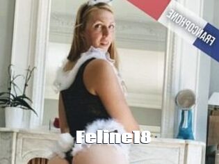 Feline18