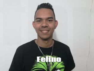Felino