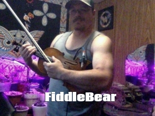 FiddleBear