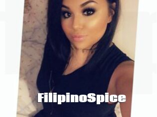 FilipinoSpice