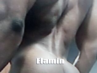 Flamin