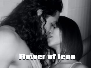 Flower_of_leon