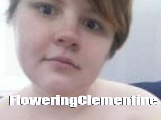 FloweringClementine