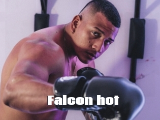 Falcon_hot