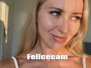 Felicecam