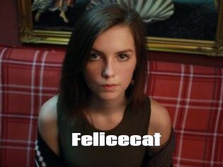 Felicecat