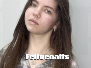Felicecatts