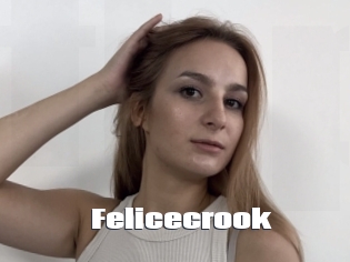 Felicecrook