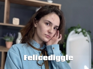 Felicediggle