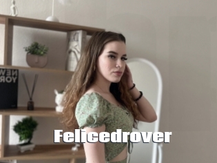 Felicedrover