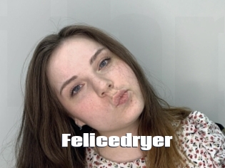 Felicedryer