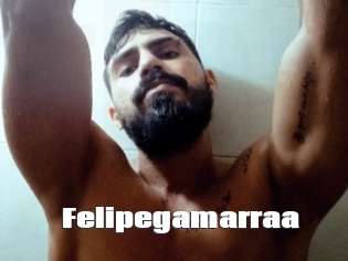 Felipegamarraa