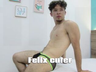 Felix_cuter