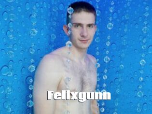 Felixgunn