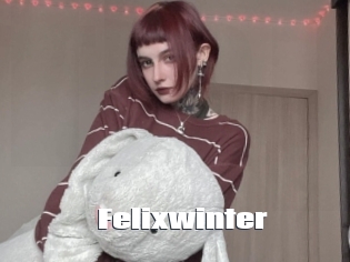 Felixwinter