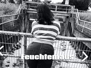 Feuchtemaus