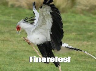 Finaretest