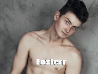 Foxterr