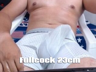 Fullcock_23cm