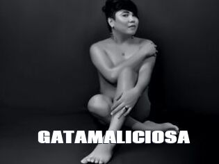 GATAMALICIOSA