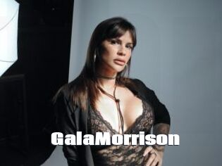 GalaMorrison