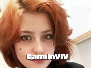 GarminViV
