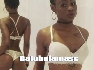 Gatubela_masc